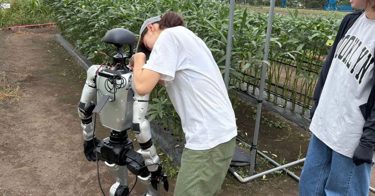 圃場でオクラを収穫するヒューマノイドロボット